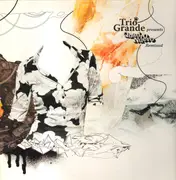 LP - Trio Grande - Presents Quadro Nuevo Remixed