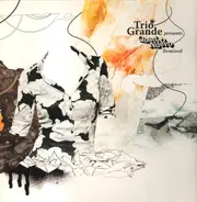 Trio Grande - Presents Quadro Nuevo Remixed