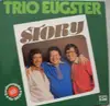 LP - Trio Eugster - Story