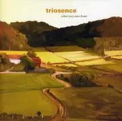 Triosence - When You Come Home