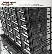 Triosk meets Jan Jelinek
