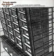 LP - Triosk Meets Jan Jelinek - 1+3+1