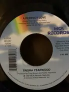 Trisha Yearwood - A Perfect Love