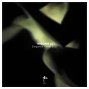 Trisomie 21 - Elegance Never Dies