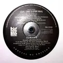 12inch Vinyl Single - Truce - Joy