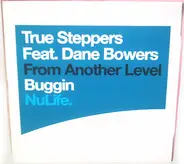 True Steppers Feat. Dane Bowers - Buggin
