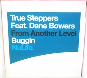 True Steppers Feat. Dane Bowers - Buggin