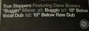 True Steppers Featuring Dane Bowers - Buggin