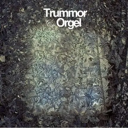 Trummor & Orgel - Visions