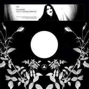 Trust - Bulbform