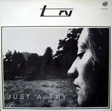 Try - Just A Try
