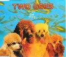 CD Single - Two Gee's - From The 70's