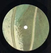 LP - Two Lone Swordsmen - Stay Down
