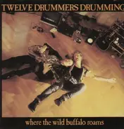 Twelve Drummers Drumming - Where the wild buffalo roams