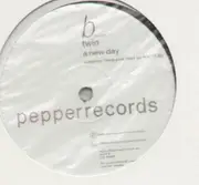 12'' - Twin - A New Day