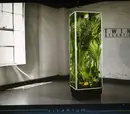 CD - Twin Atlantic - Vivarium