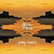 Twin Tigers - Gray Waves