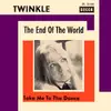 7inch Vinyl Single - Twinkle - The End Of The World