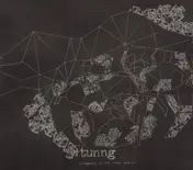 Tunng - Comments Of The Inner Chorus (Special Edition)