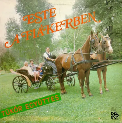 Tükör Együttes - Este A Fiákerben