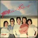 7inch Vinyl Single - Tulip - Blue Sky