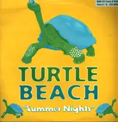 Turtle Beach