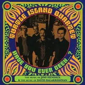 Turtle Island String Quartet - Have You Ever Been?