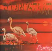 Turbostaat - Flamingo