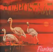 Turbostaat - Flamingo