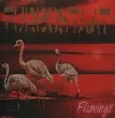 LP - Turbostaat - Flamingo - 180g