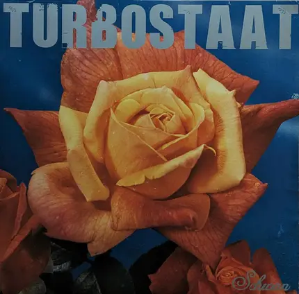 Turbostaat - Schwan