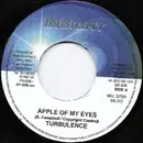 7inch Vinyl Single - Turbulence - Apple Of My Eyes