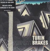 LP & MP3 - Turin Brakes - Lost Property - 180g vinyl + download