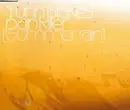 CD Single - Turin Brakes - Pain Killer (Summer Rain)