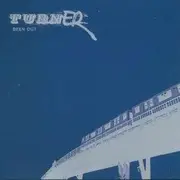 CD Single - TURNER - Been Out