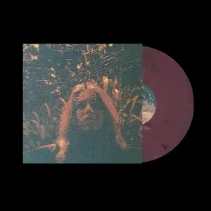 Turnover - Peripheral Vision 10th Anniversary (cherry Marble Lp)
