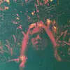 LP - Turnover - Peripheral Vision - Clear/Orange + Insert