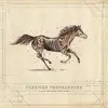 LP - Turnpike Troubadours - A Long Way.. -Bonus TR- - .. FROM YOUR HEAR