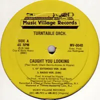 Turntable Orchestra - Caught You Looking