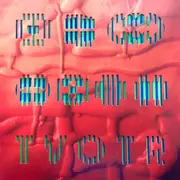 12inch Vinyl Single - TV on the Radio - Trouble/Dubble (Ltd.Edt.) - RSD 2015