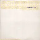 12'' - Ty - The Nonsense