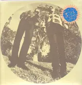 Ty Segall - Hair