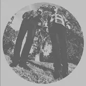 white fence - Hair