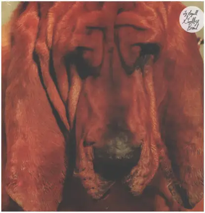 Ty Segall - Goodbye Bread