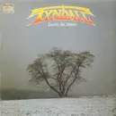 LP - Tyndall - Durch Die Zeiten