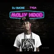 Tyga - Mixtape-Molly Hood