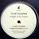 12inch Vinyl Single - Tyler Friedman - A Night In The Woods