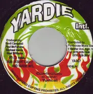 Tyrical - Curriculum