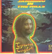 tyrone taylor - Jamming In The Hills