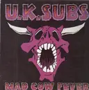 LP - U.K. Subs - Mad Cow Fever - Purple Multi-coloured Vinyl